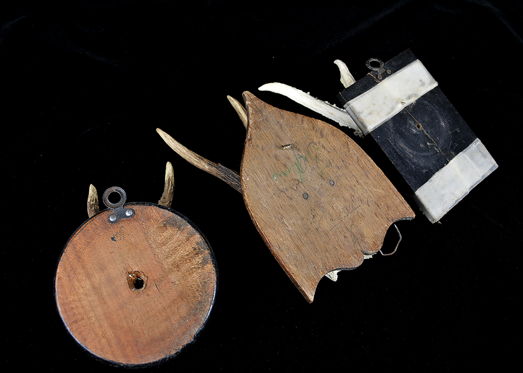Mounted Roe Deer Skull and Antlers Taxidermy