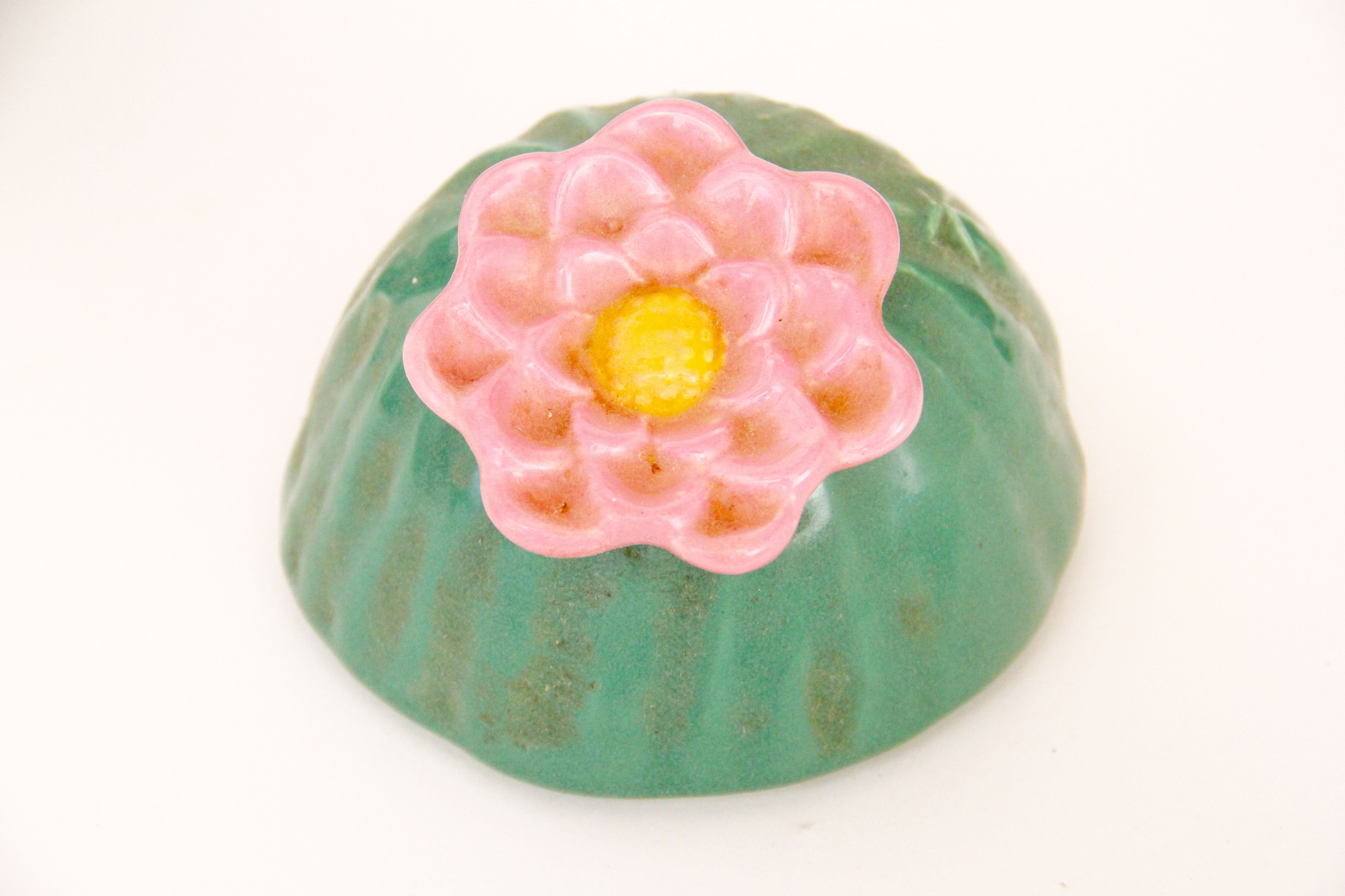 Duo of Cactus Cookie Jars