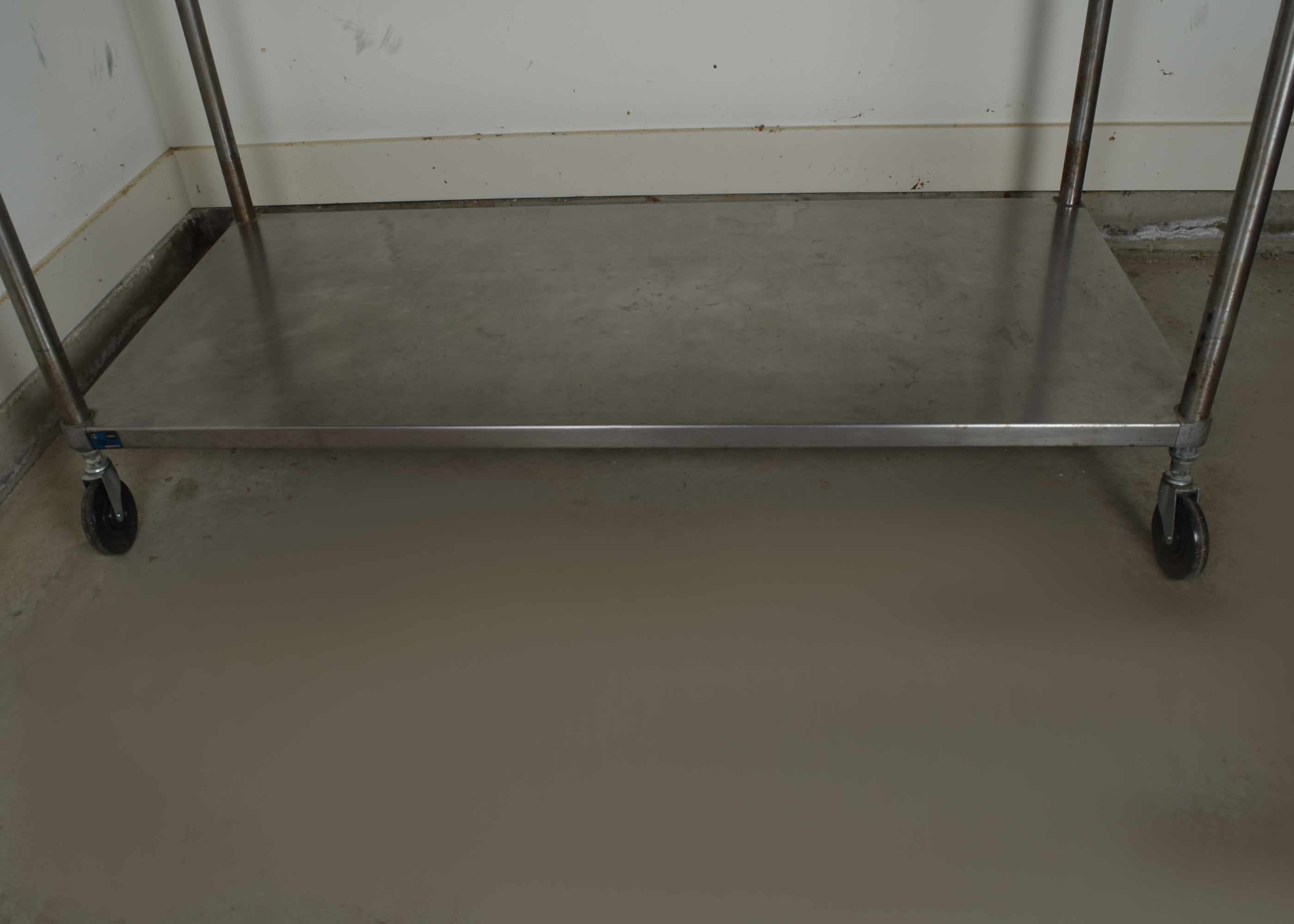 Commercial Stainless Steel Two Tier Rolling Kitchen Prep Table