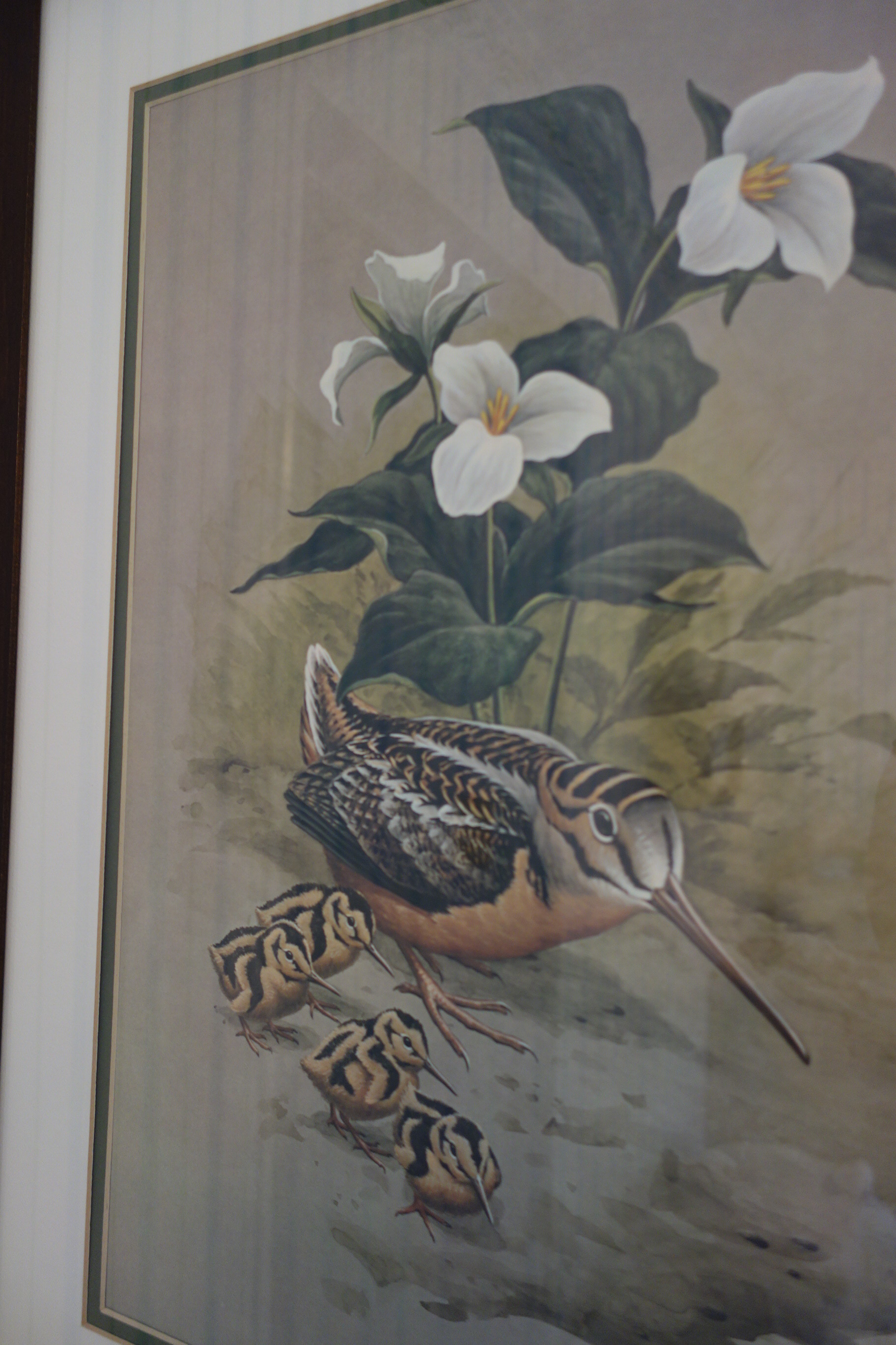 Small Wooden Bench, Framed Guy Coheleach Print and More