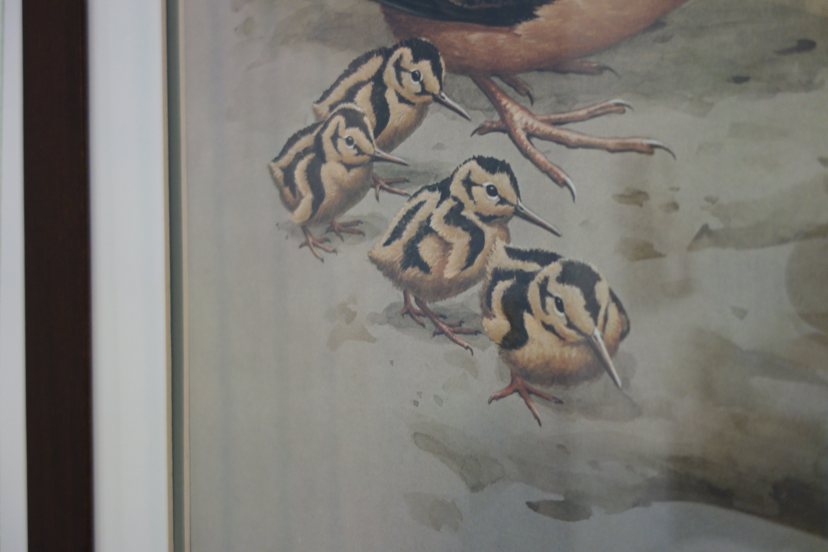 Small Wooden Bench, Framed Guy Coheleach Print and More