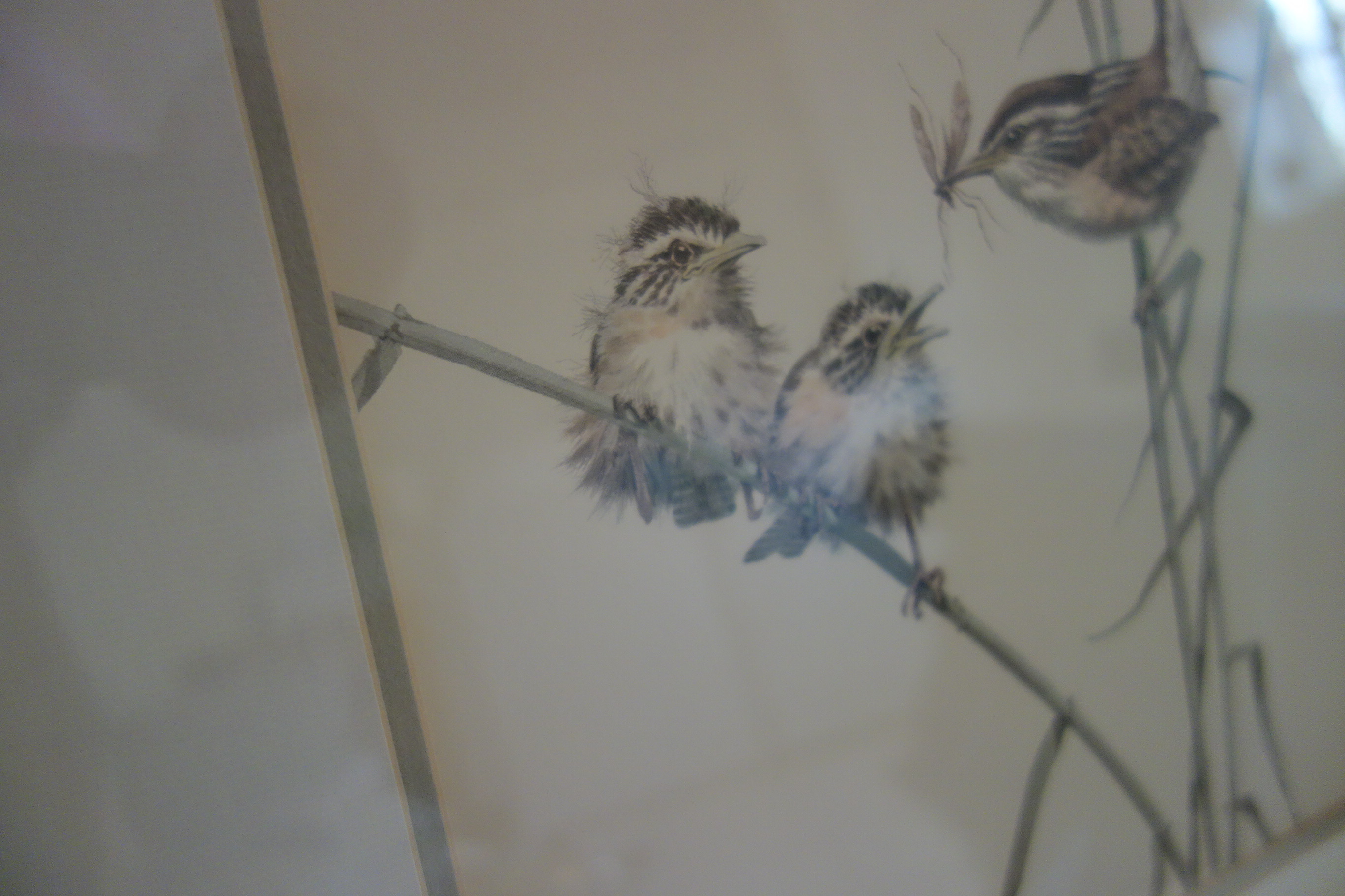 Small Wooden Bench, Framed Guy Coheleach Print and More