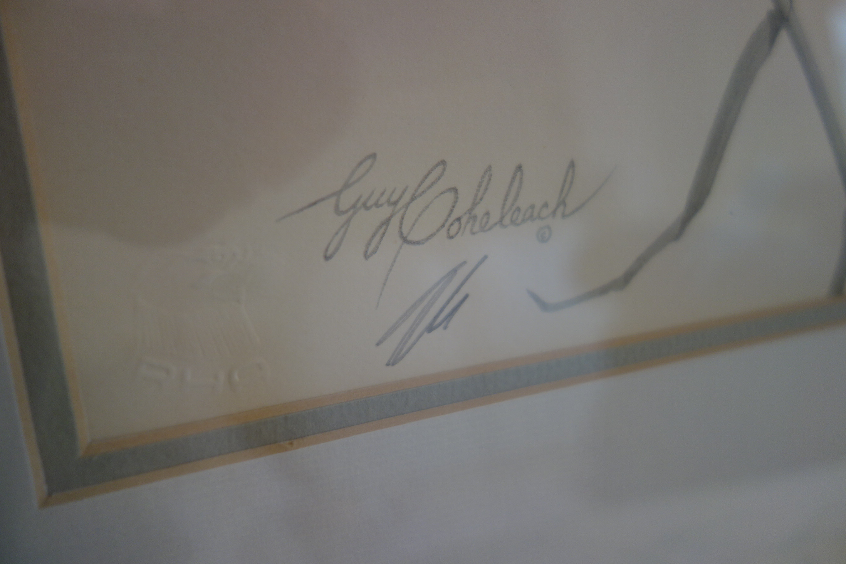 Small Wooden Bench, Framed Guy Coheleach Print and More