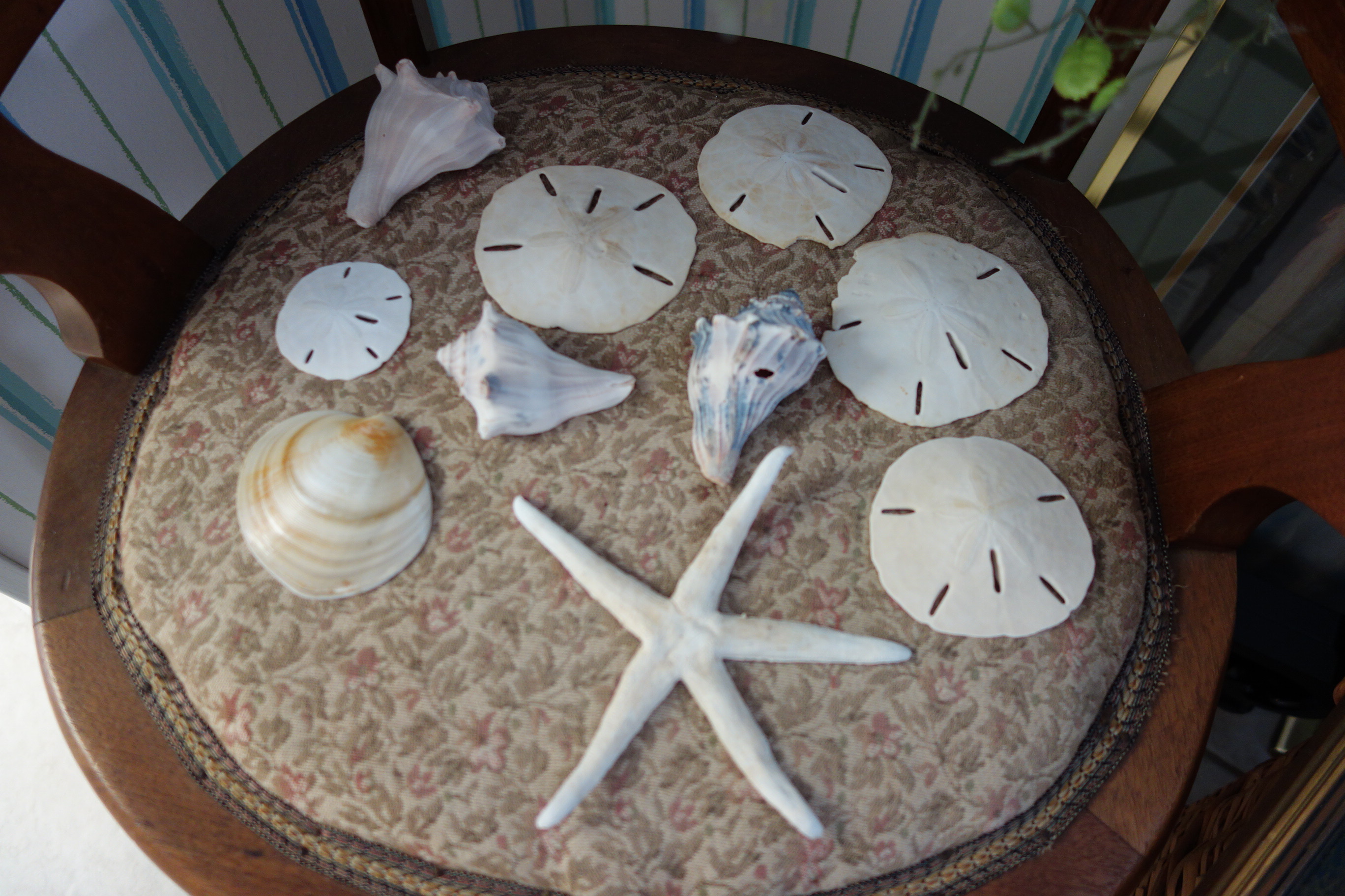 Tall Artificial Tree, Hen Cross Stitch, Side Chair and More