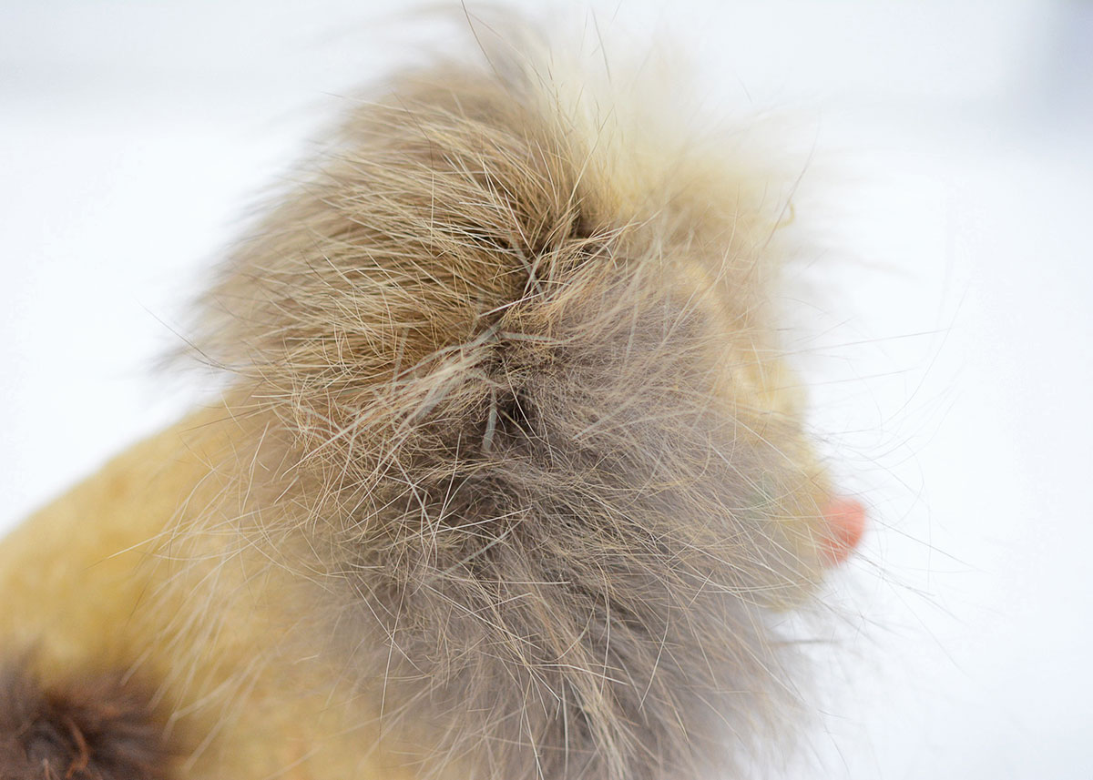 Vintage German Made EMO Brand Wind up Drinking Real Fur Lion