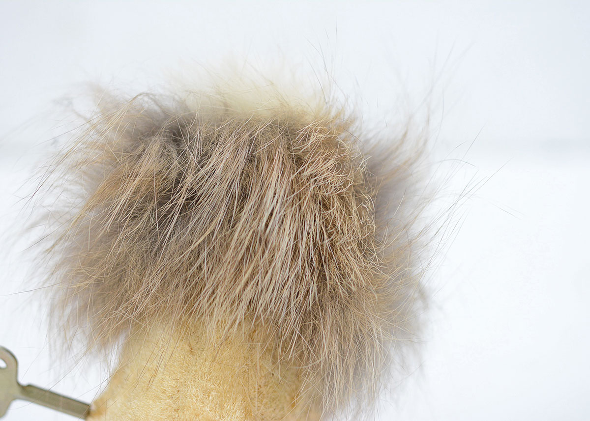 Vintage German Made EMO Brand Wind up Drinking Real Fur Lion