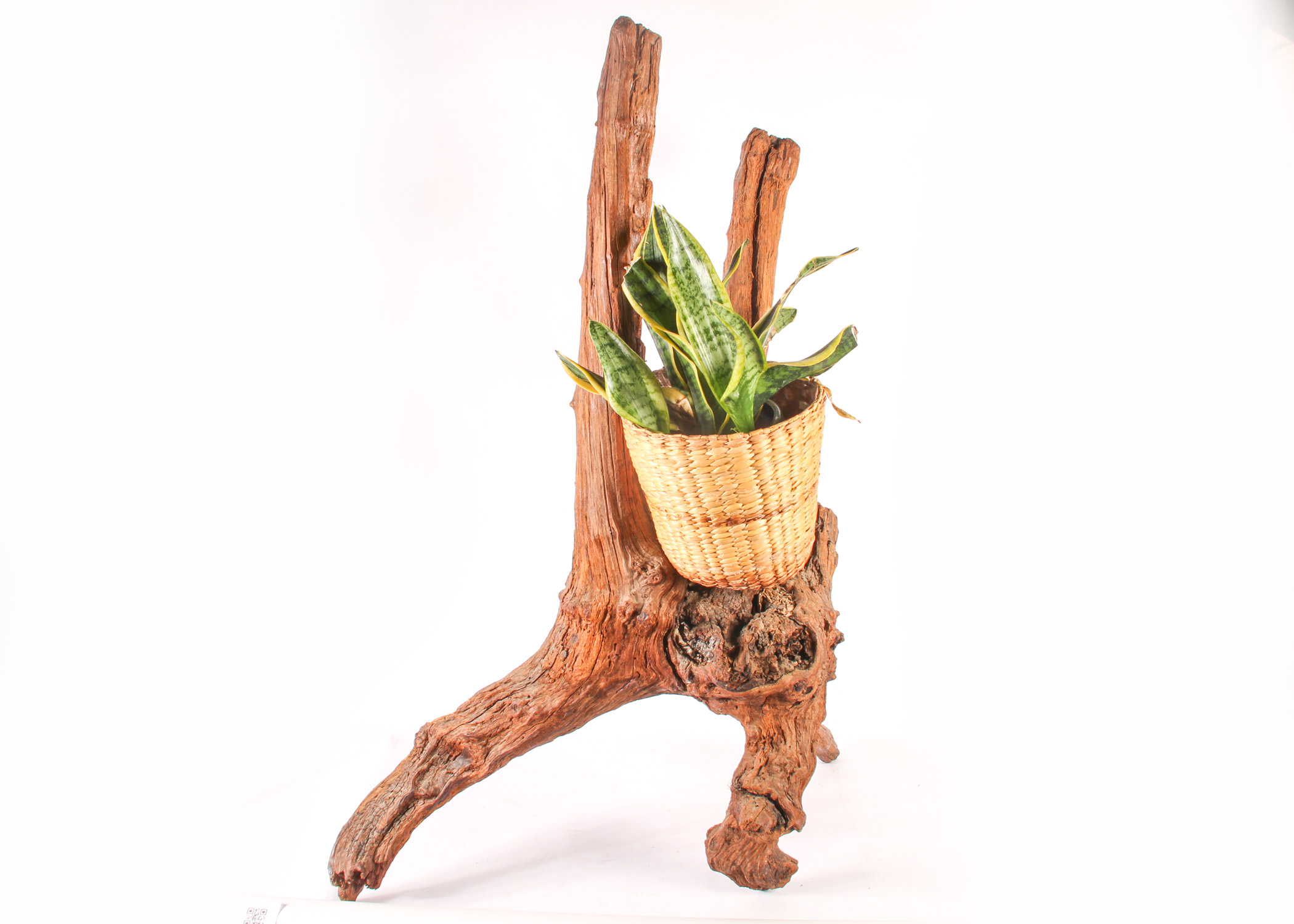 Wooden Branch Plant Stand