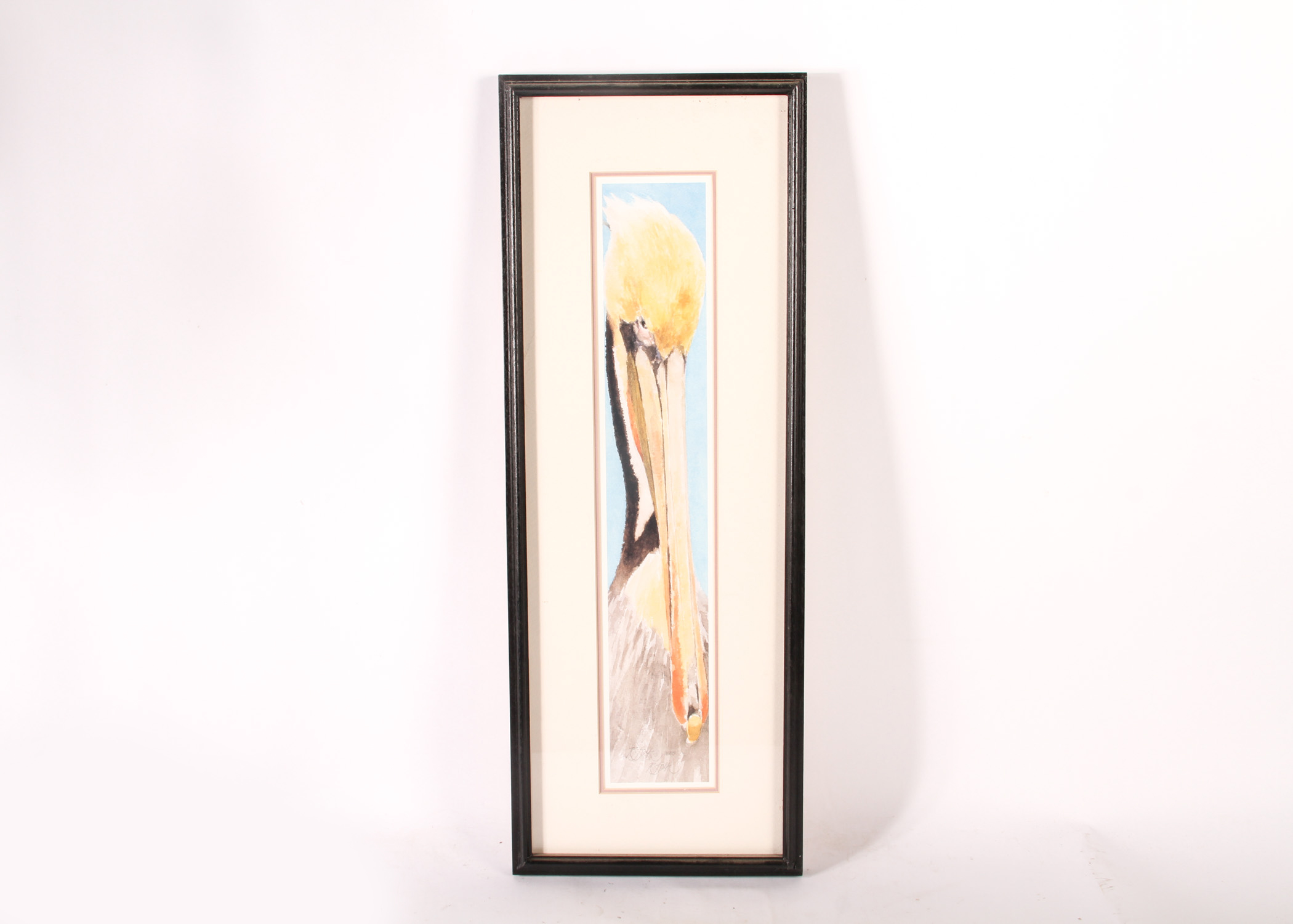 Pelican Watercolor by Roger Folk