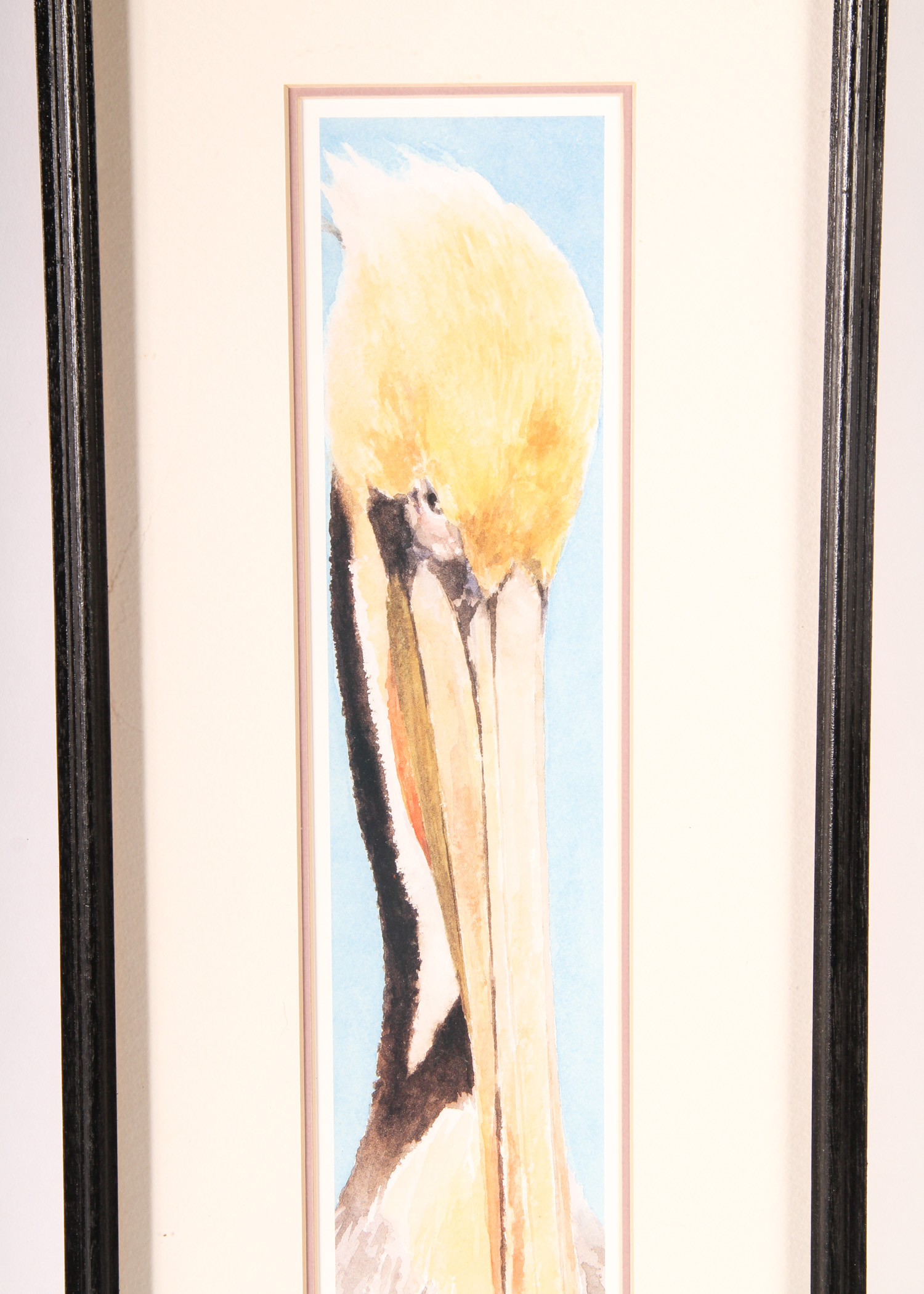 Pelican Watercolor by Roger Folk