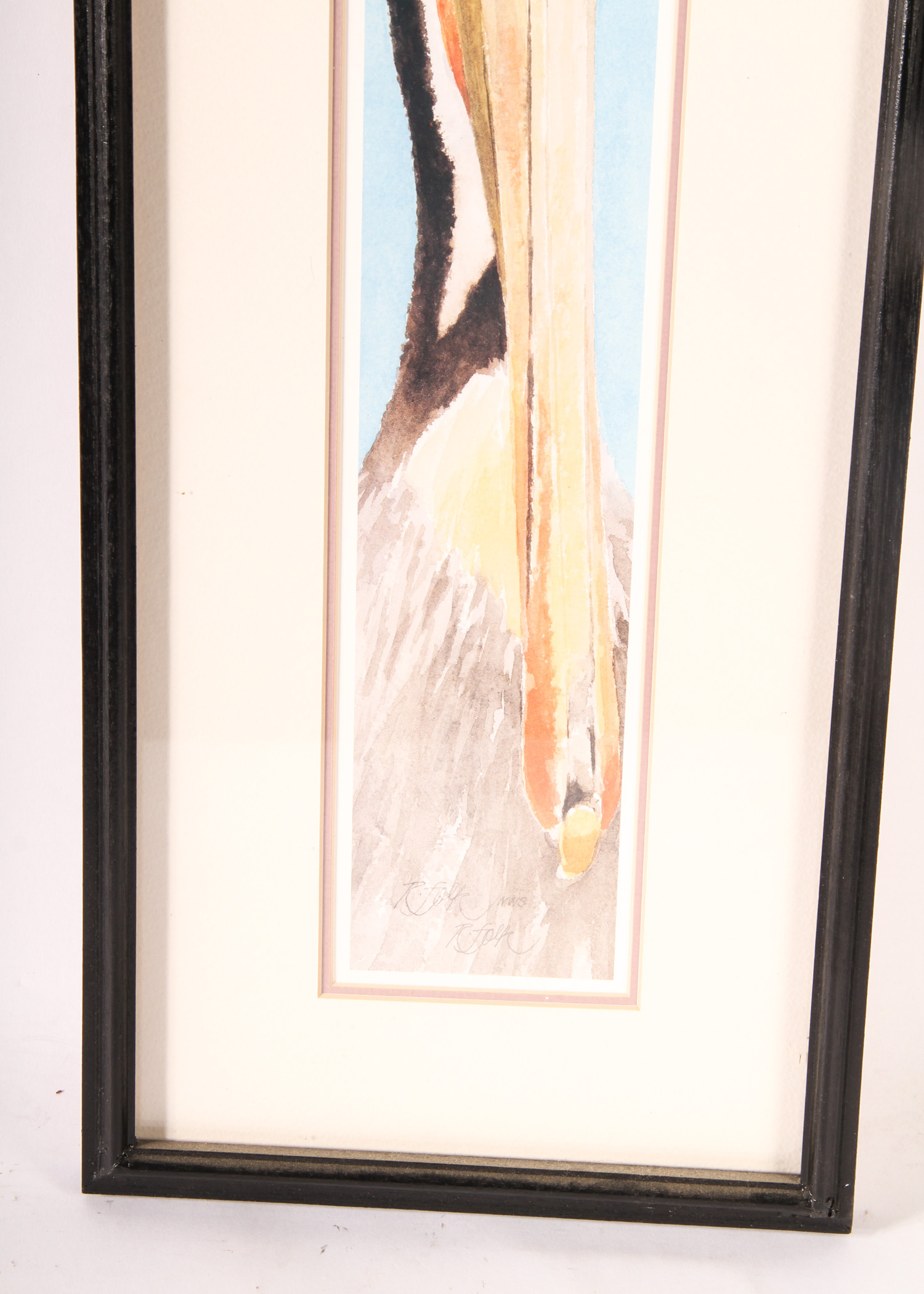 Pelican Watercolor by Roger Folk