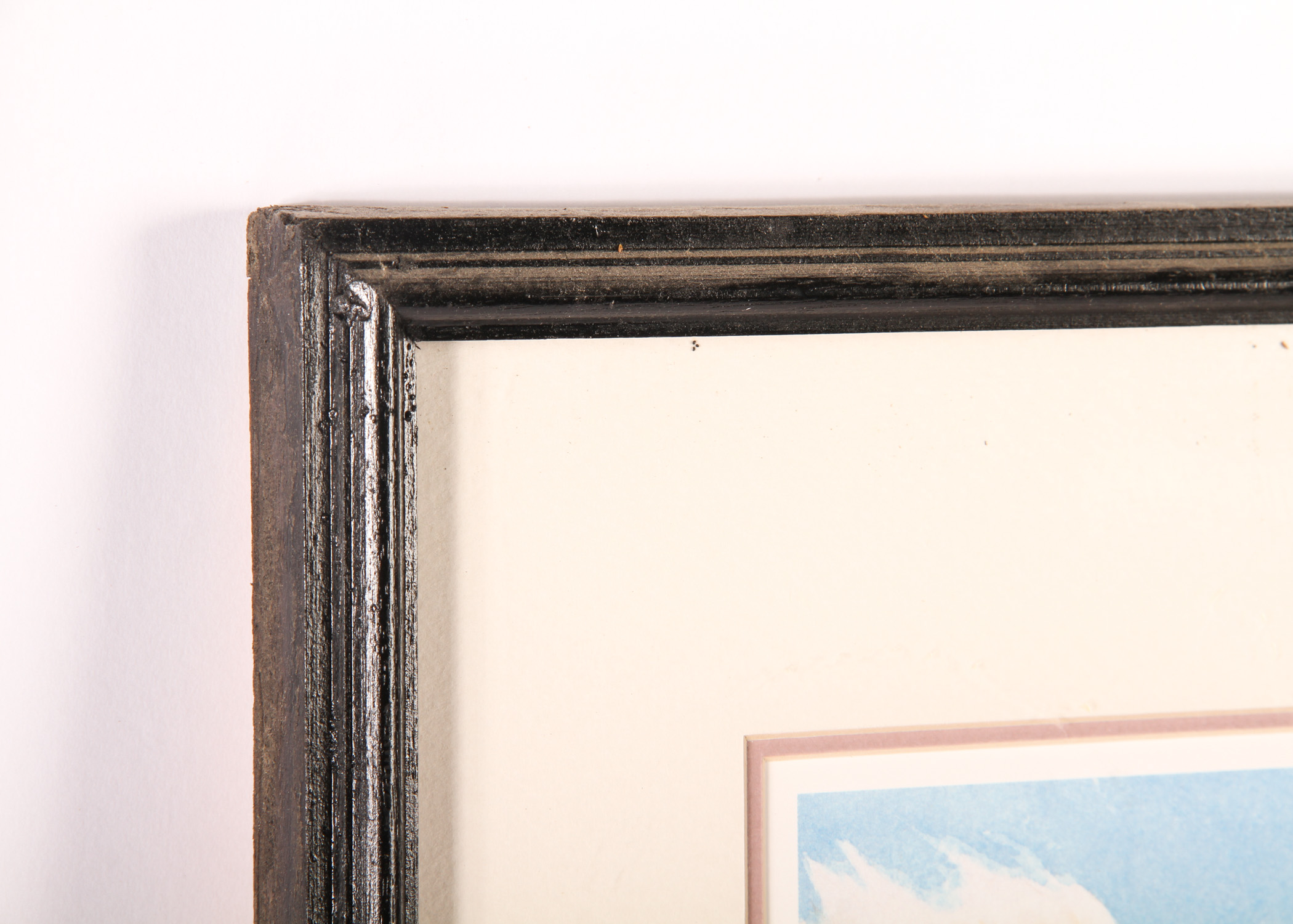 Pelican Watercolor by Roger Folk