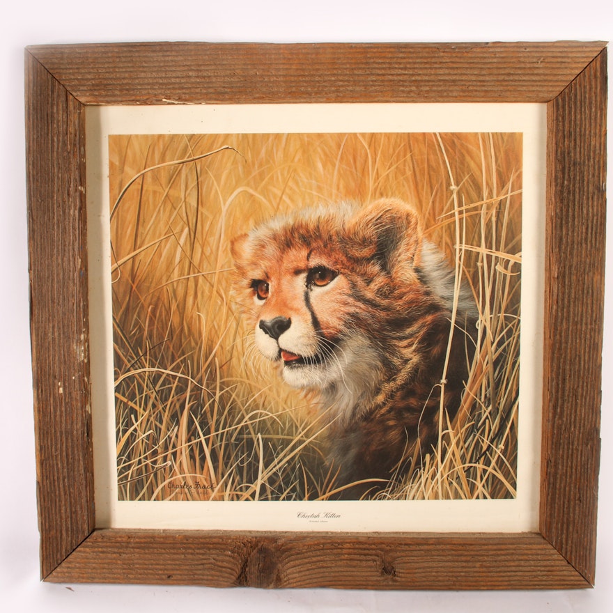 Charles Frace "Cheetah Kitten" Print