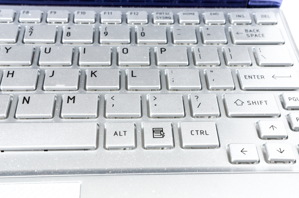 Toshiba NB 305 Laptop