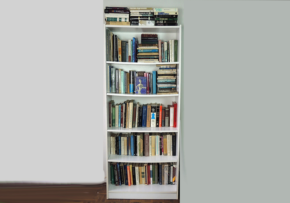 Bookcase Assortment of Psychology and Medical Books