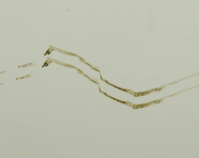 Danish Modern Teak Framed Mirror