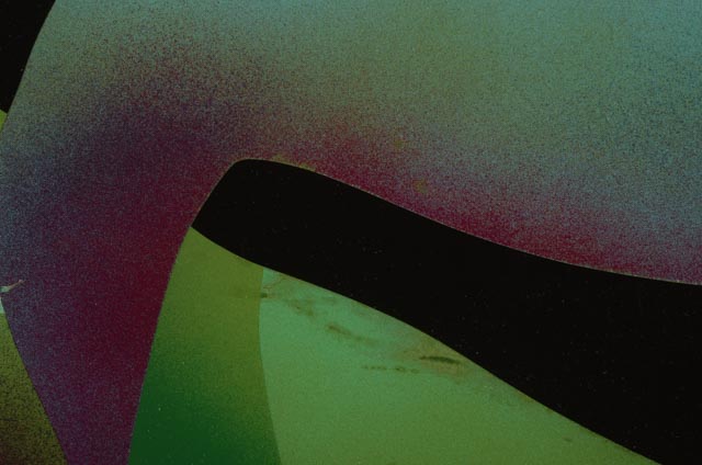 Ned Mou Hou Vintage Mixed Media Print "Bird of Paradise"