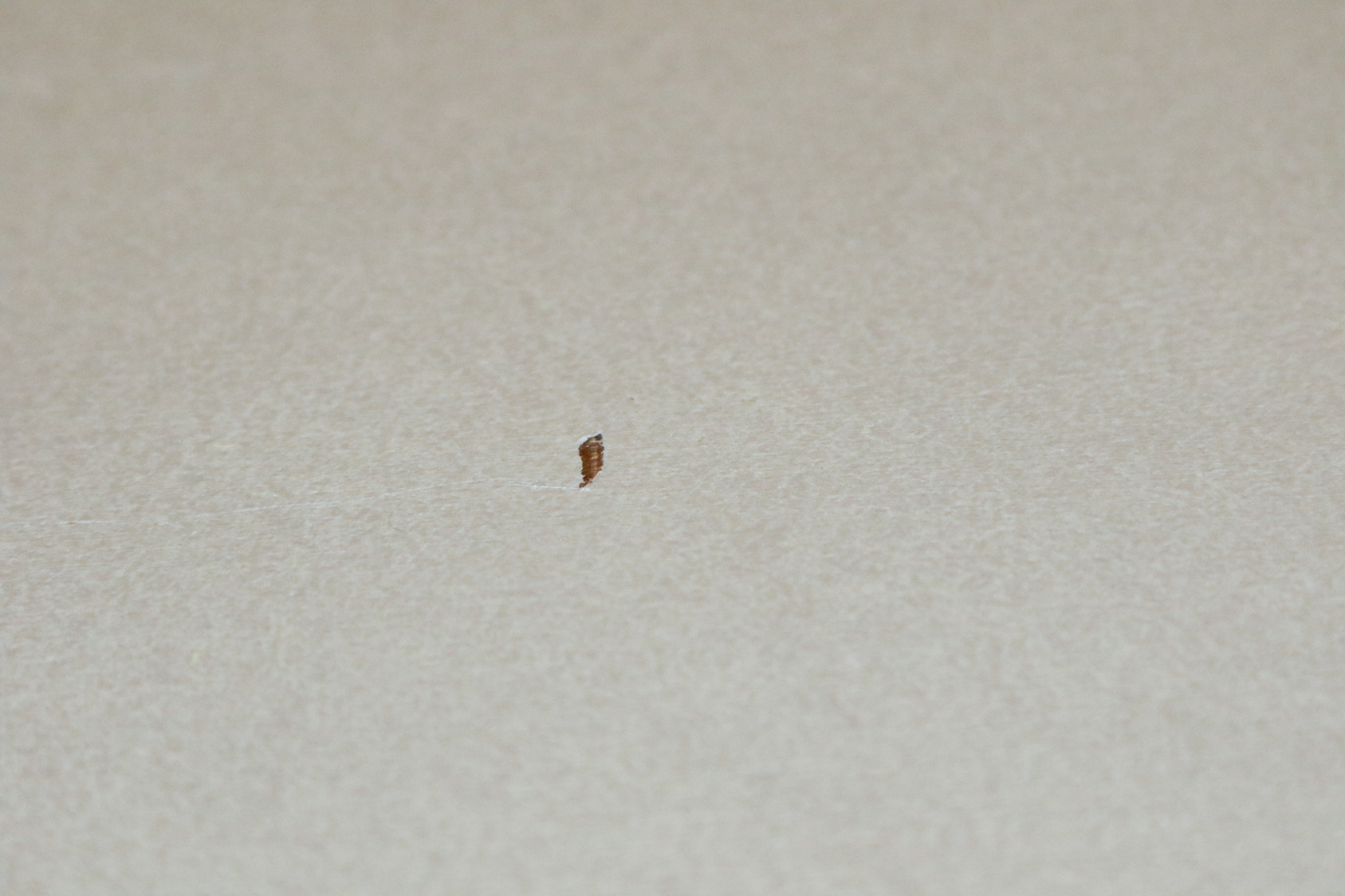 Painted and Stenciled Cabinet with Matching Seat