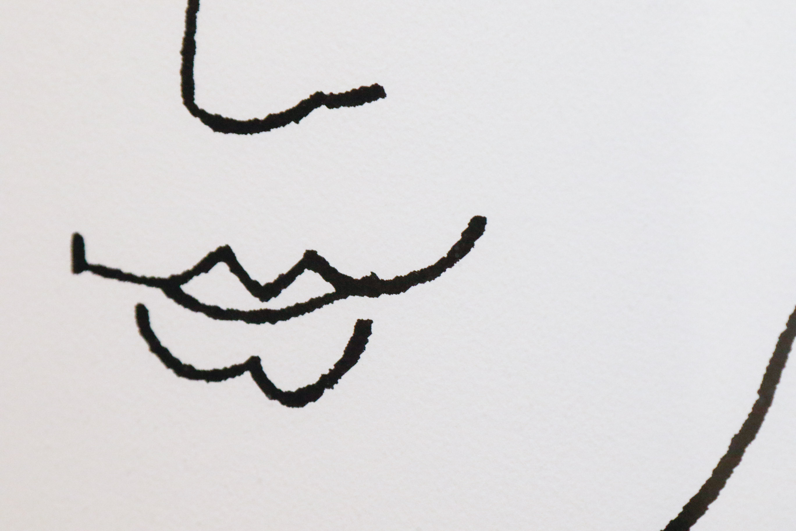 After Picasso "Visage de la Paix VIII" Lithograph