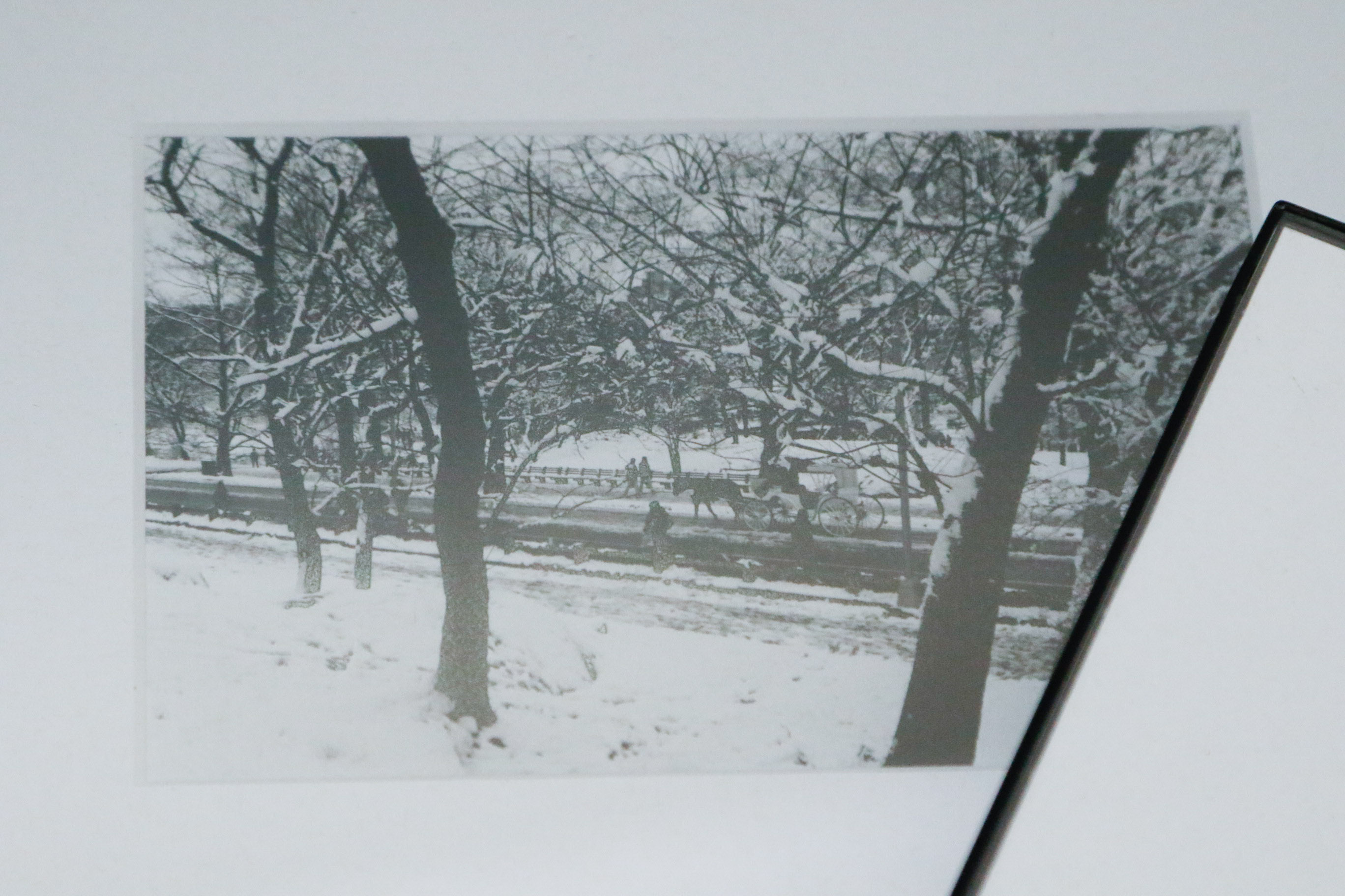 Black, Gold and Leopard Accent Bed and Bath Decor