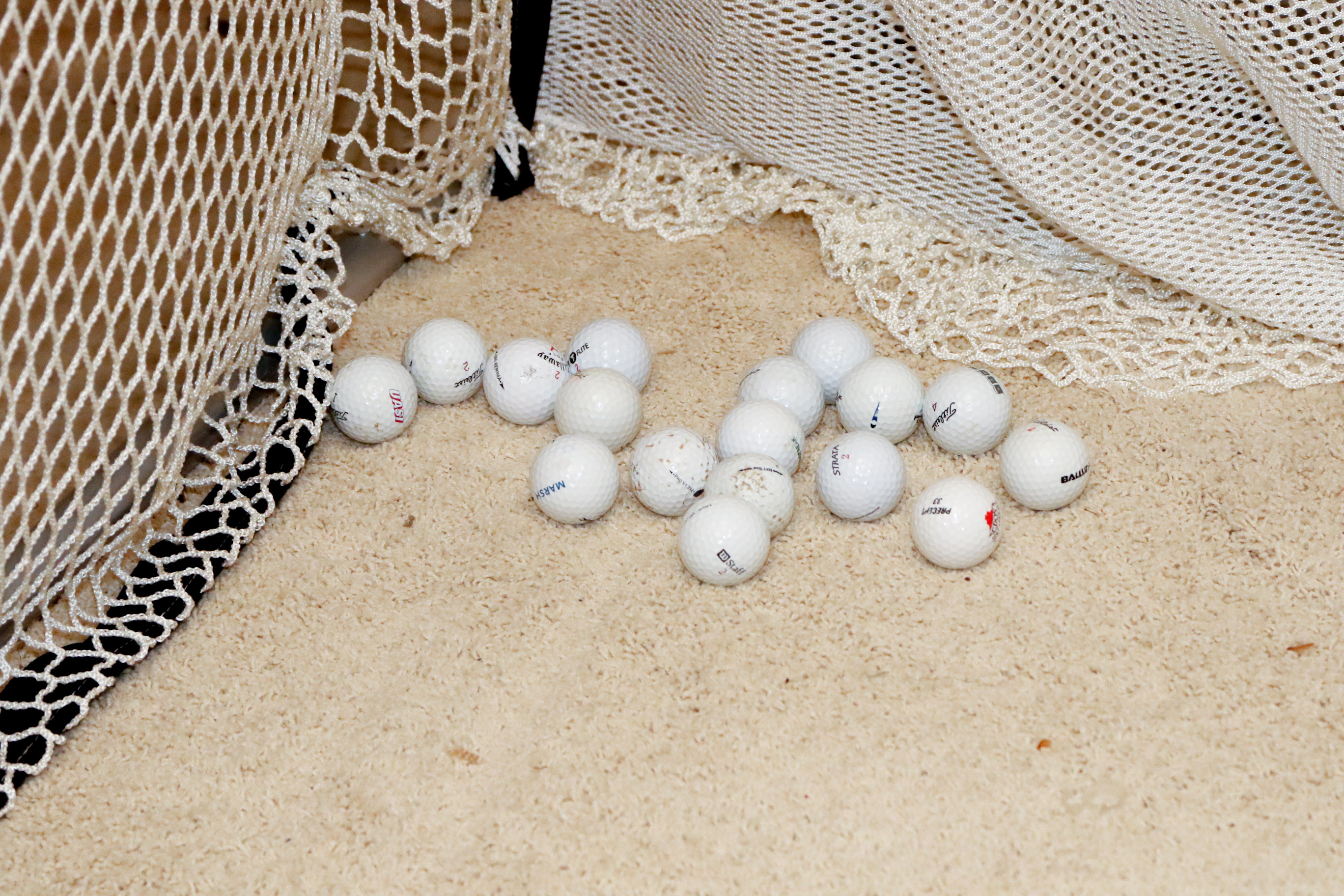 Enclosed Indoor Golf Driving Net