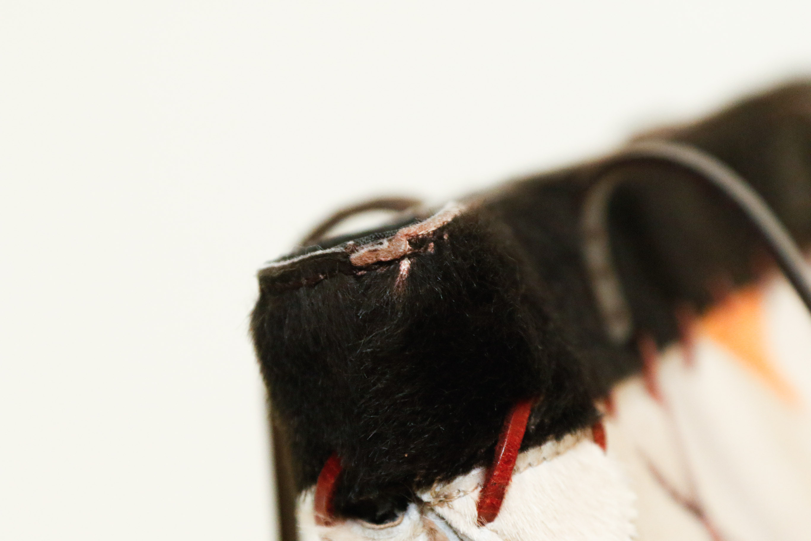 Moschino Argyle Bucket Bag