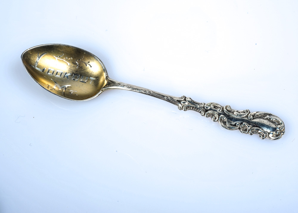 Collection of Vintage Commemorative Travel Spoons