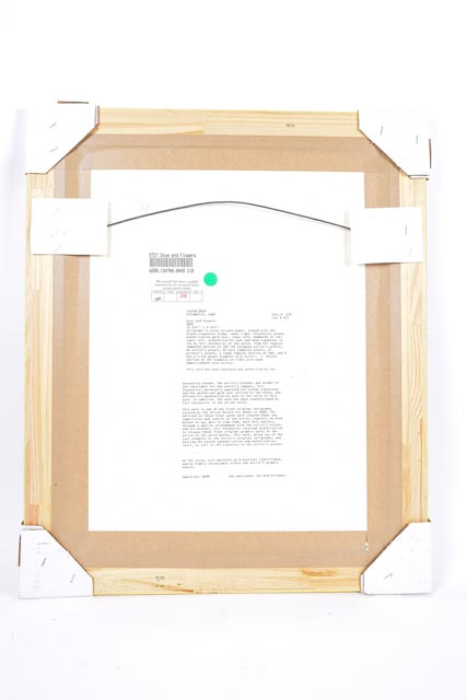 Limited Edition Zamy Steynovitz Serigraph "Dove and Flowers"