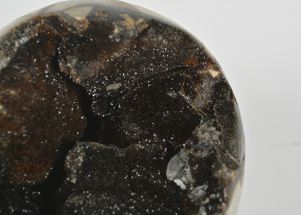 Dragon's Egg Septarian Geode