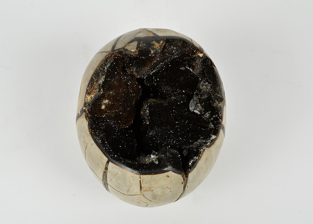 Dragon's Egg Septarian Geode