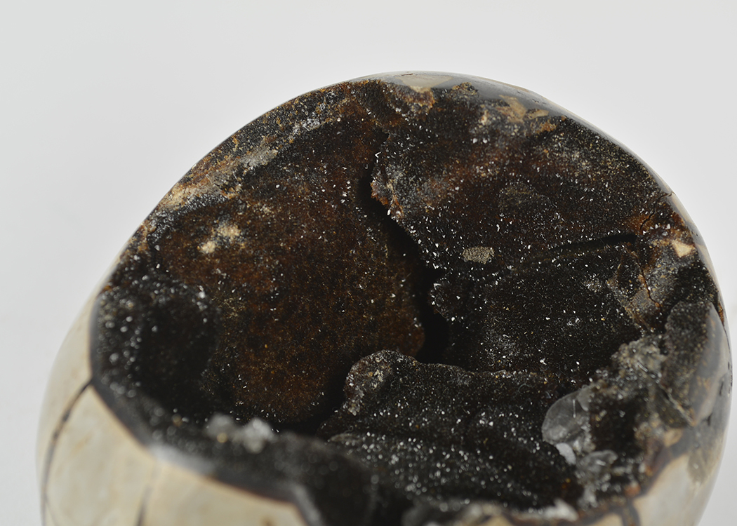 Dragon's Egg Septarian Geode