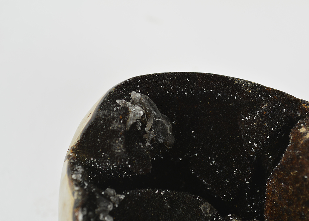 Dragon's Egg Septarian Geode