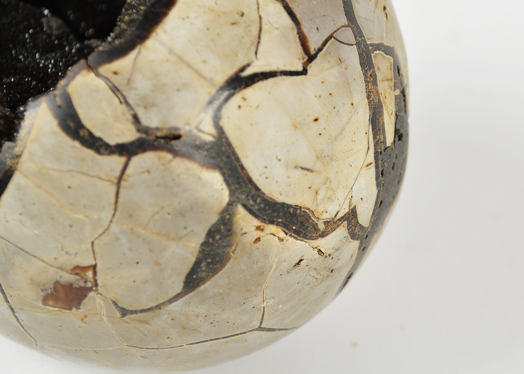 Dragon's Egg Septarian Geode