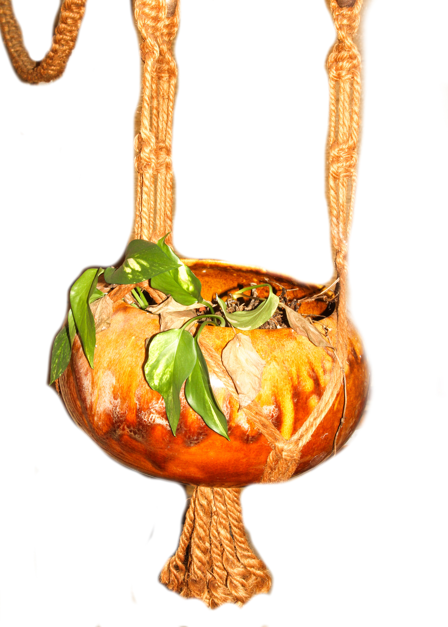 Ceramic Hanging Light and Planter