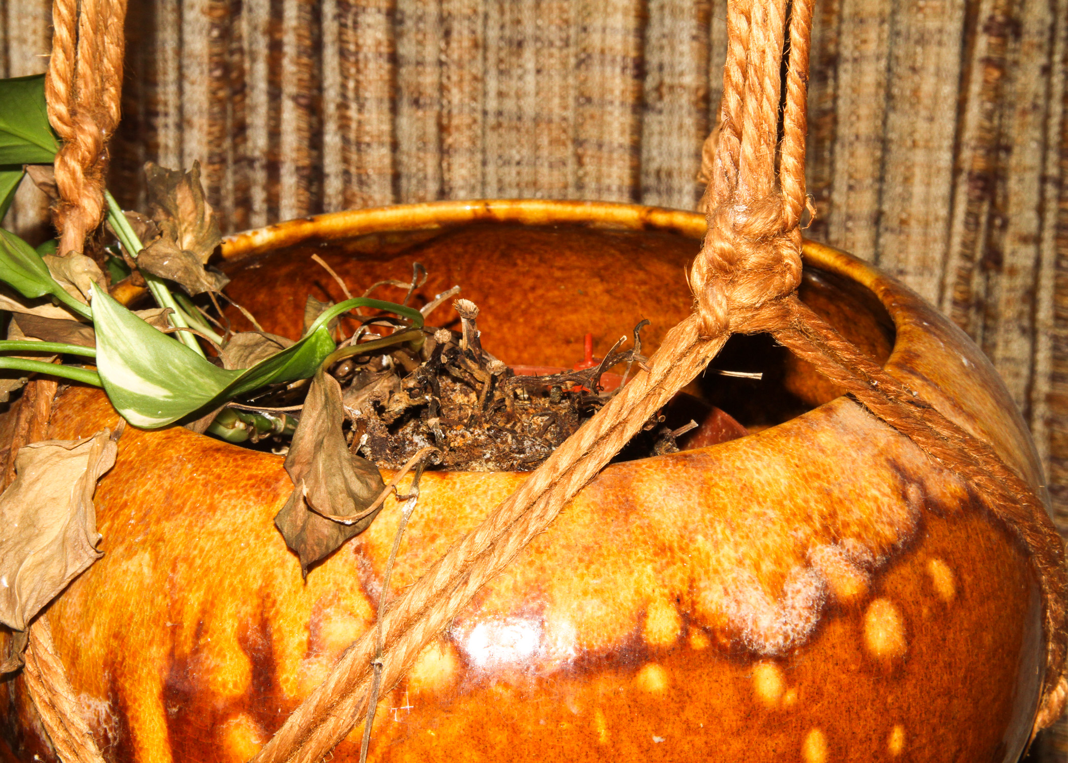 Ceramic Hanging Light and Planter