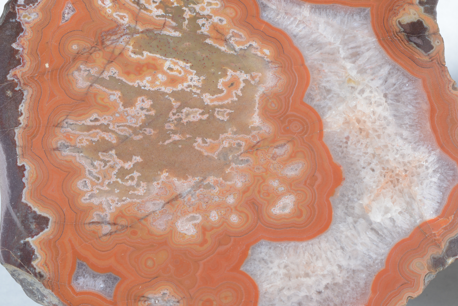 Polished Septarian Dragon Stone and Agate Stone