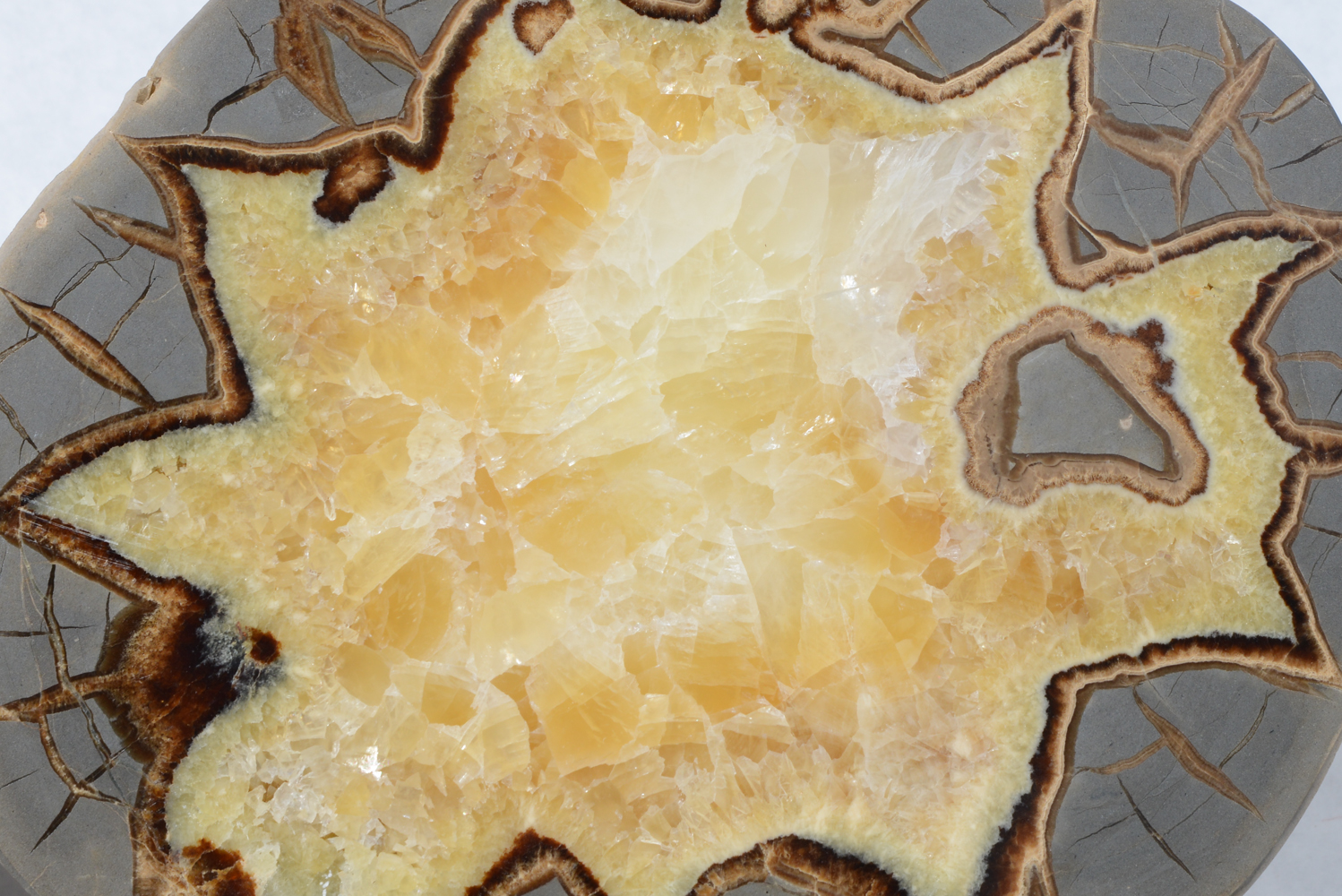 Polished Septarian Dragon Stone and Agate Stone