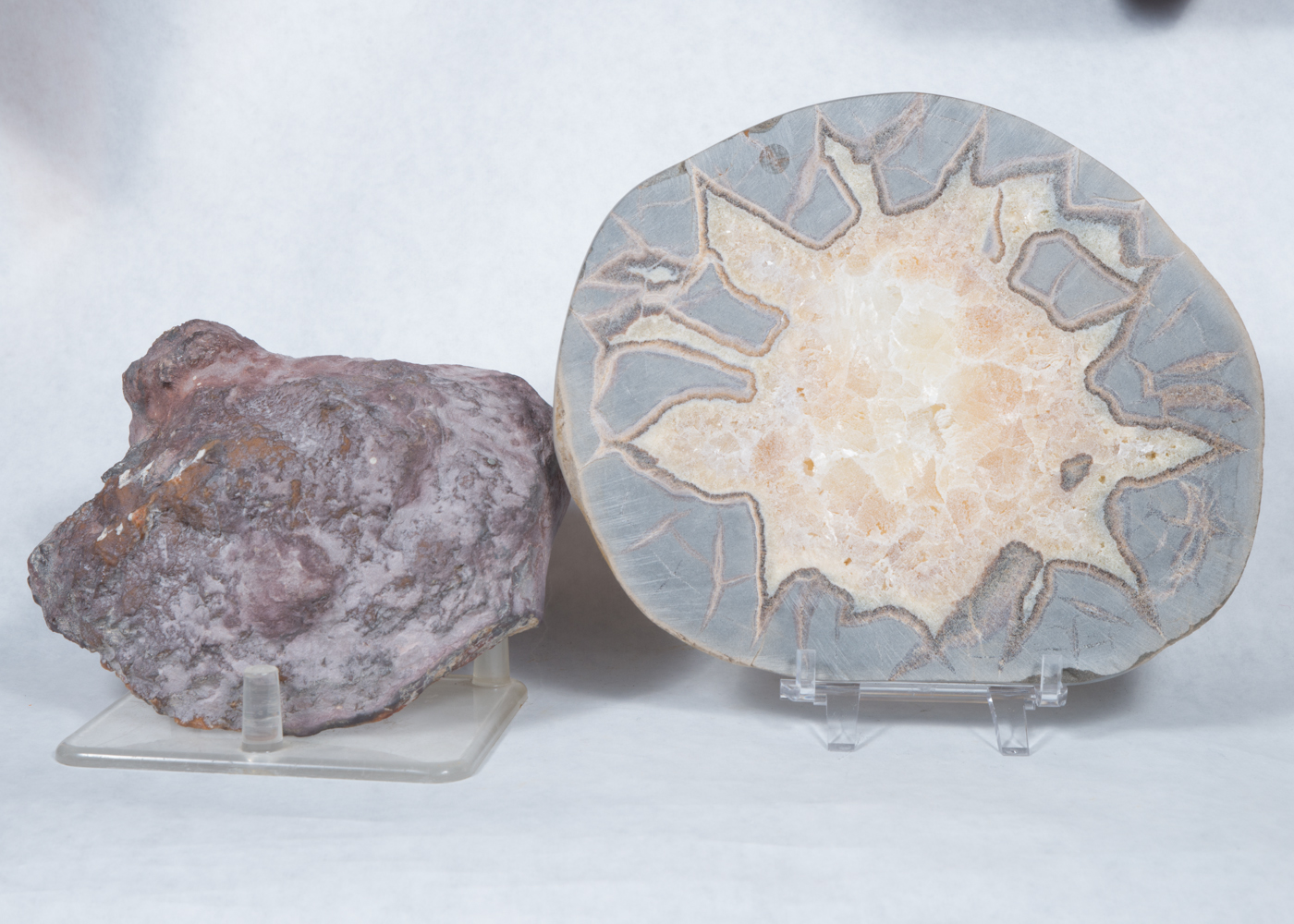 Polished Septarian Dragon Stone and Agate Stone