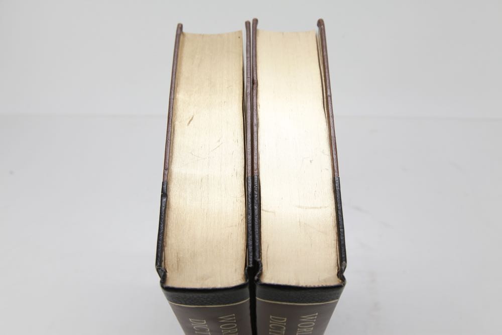 Vintage Two Volume World Book Dictionary