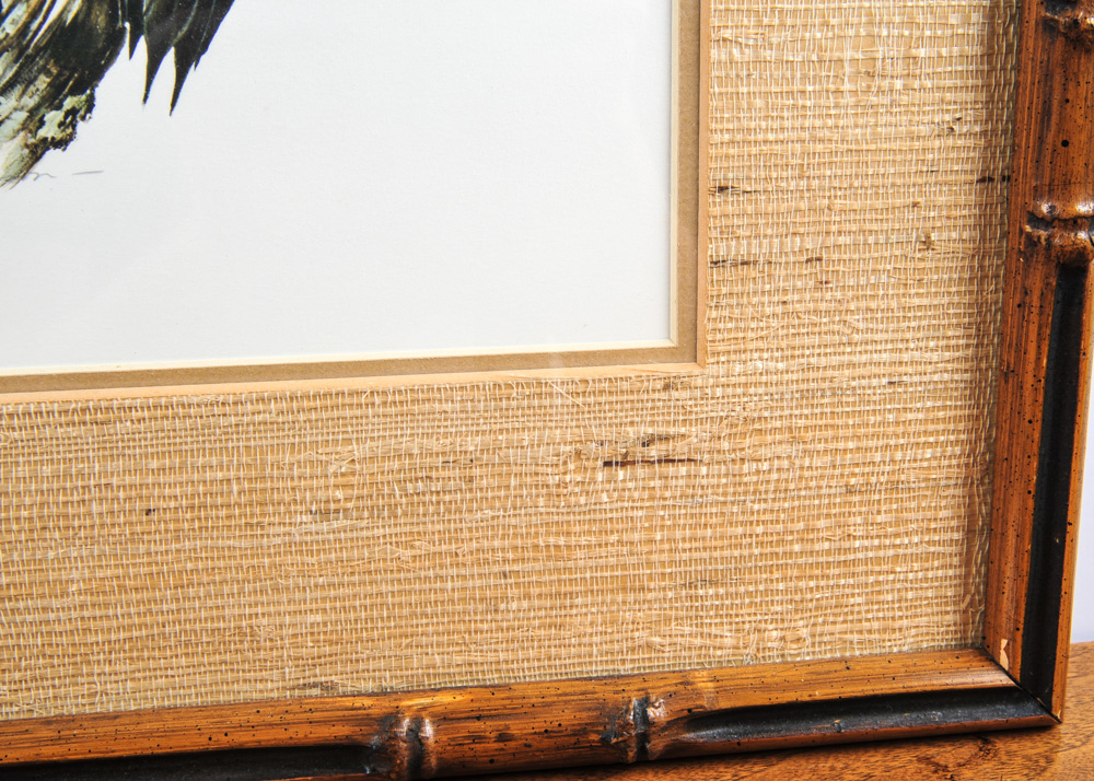 Pair of Signed and Numbered Roger Tory Peterson Prints