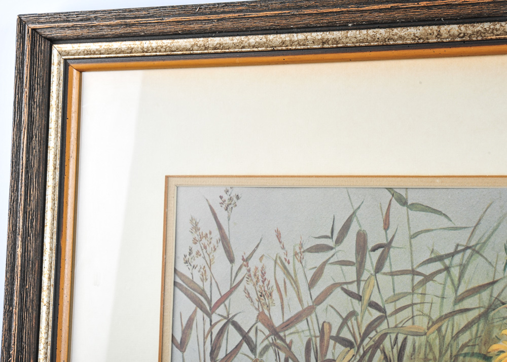 Signed and Numbered Roger Tory Peterson Print "Ring Necked Pheasant"