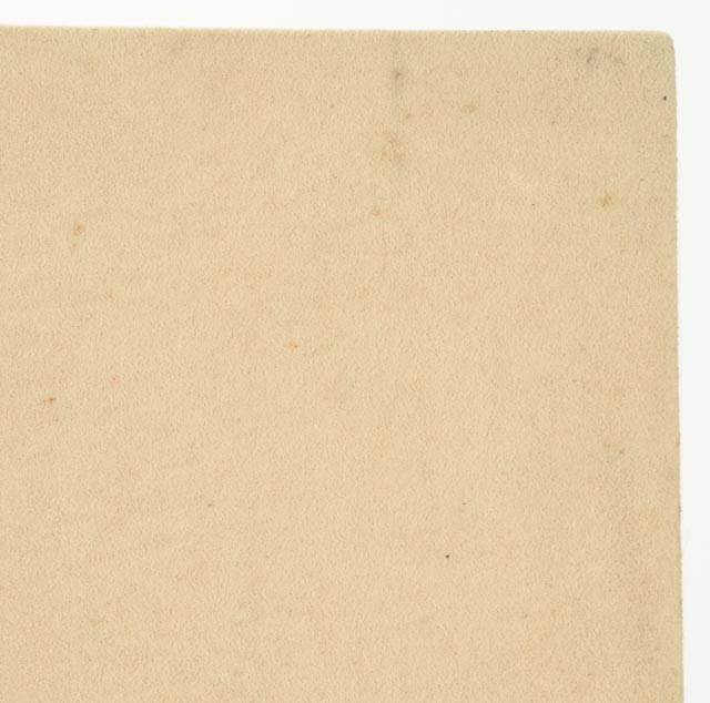 Ron Brejtfus Vintage Acoustic Panel "Perrier"