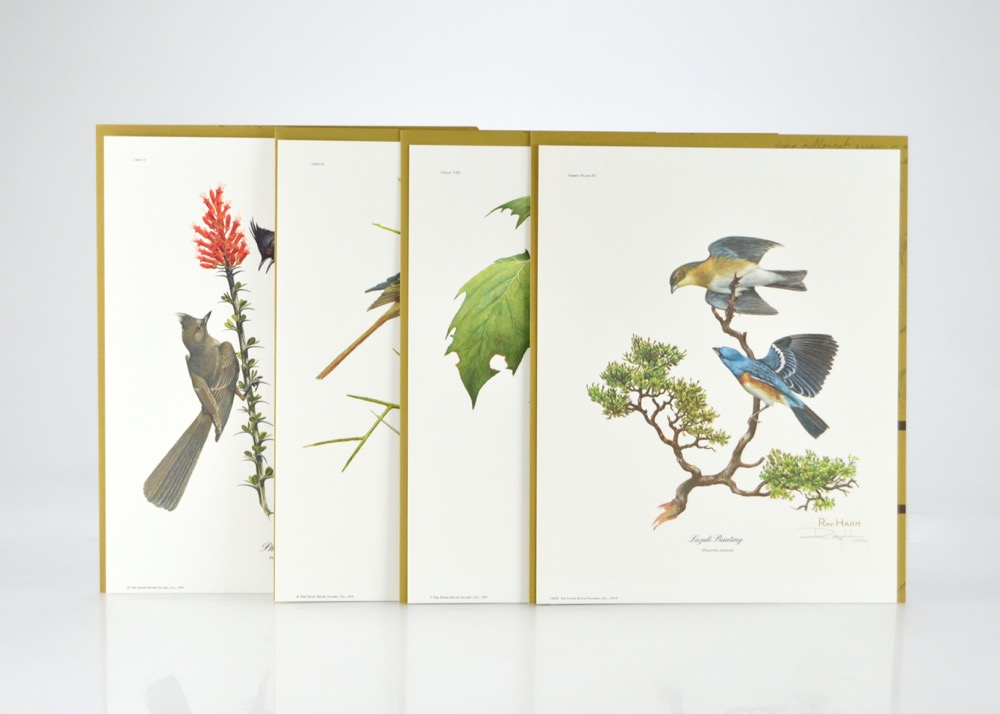 Signed Ray Harm Bird Prints