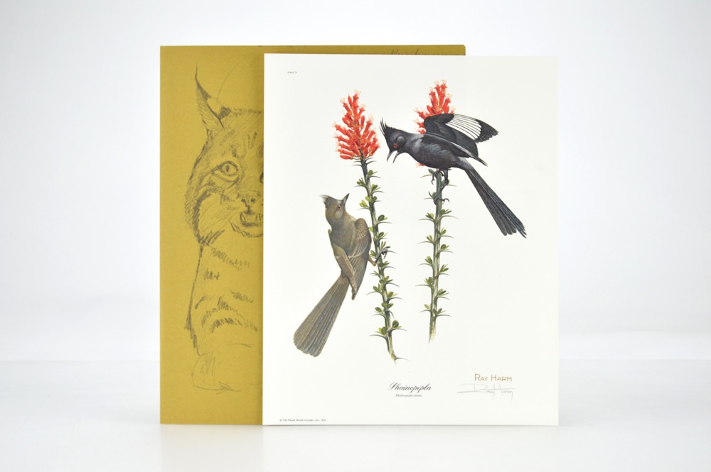 Signed Ray Harm Bird Prints