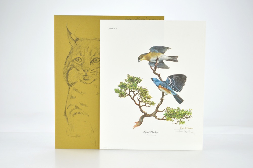 Signed Ray Harm Bird Prints