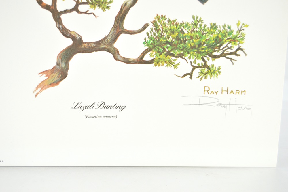 Signed Ray Harm Bird Prints