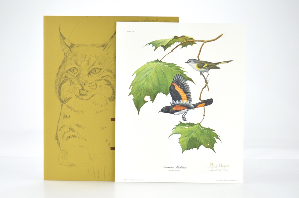 Signed Ray Harm Bird Prints