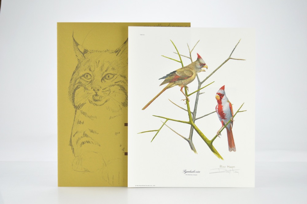 Signed Ray Harm Bird Prints