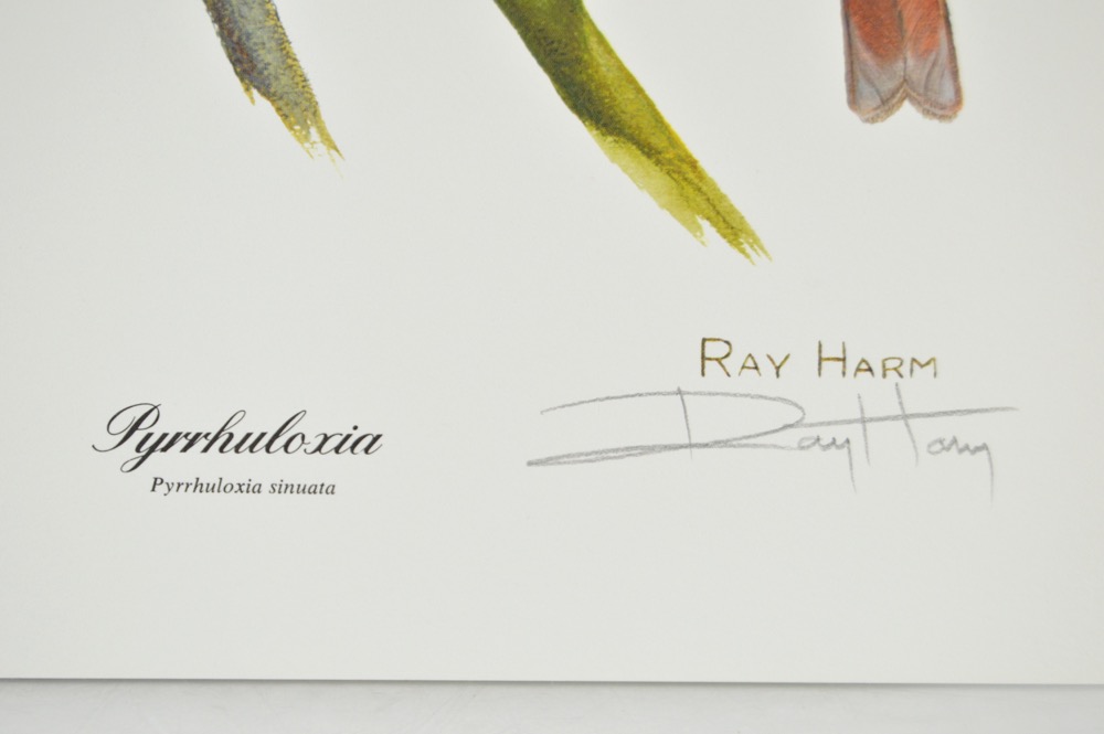 Signed Ray Harm Bird Prints