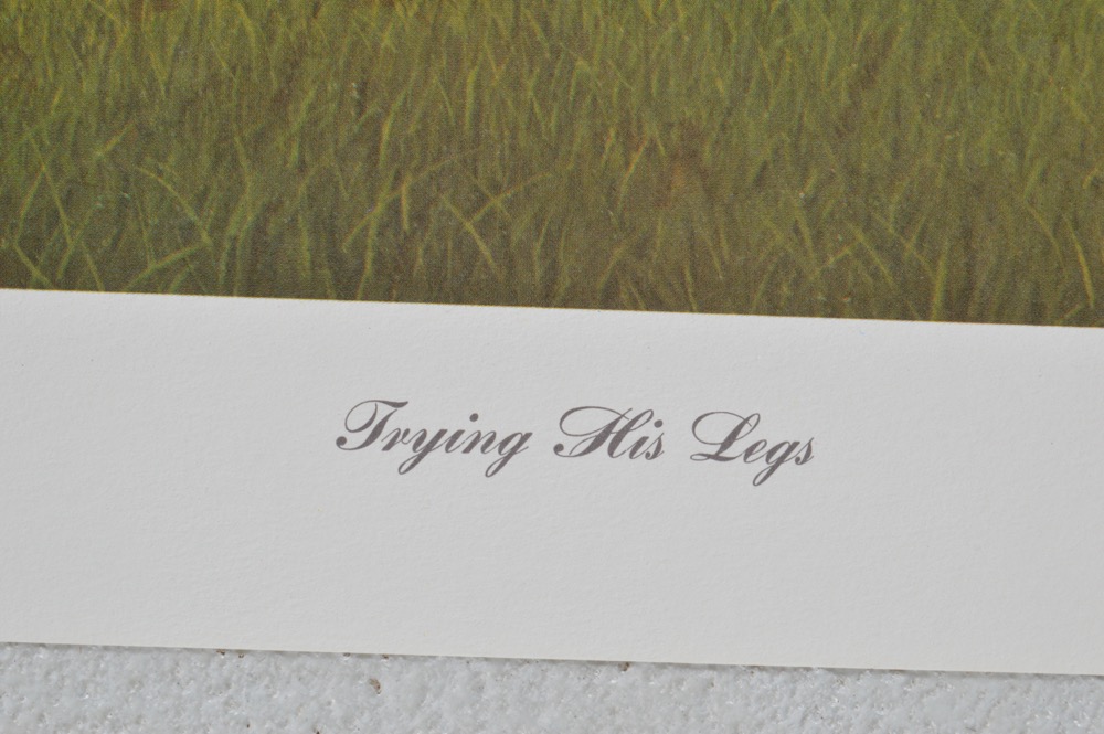 Signed Joseph Petro "From Foal to Finish" Limited Edition Prints