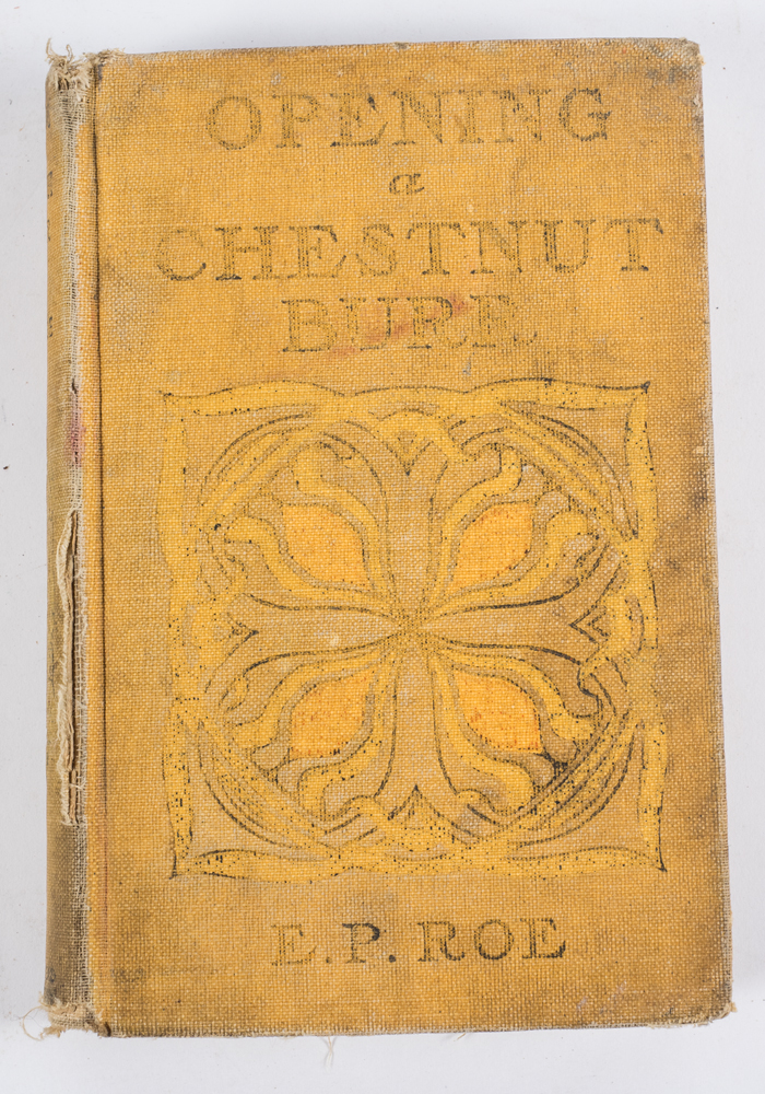 Collection of Antiquarian Books